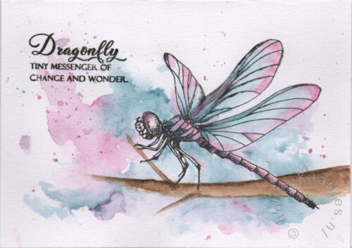 Dazzling Dragonfly